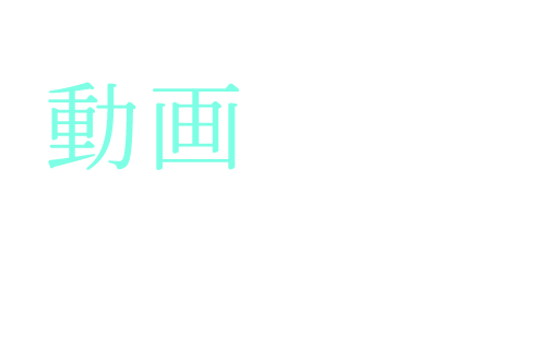 動画で知る