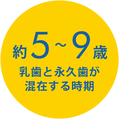 混合歯列5-9